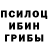 Псилоцибиновые грибы GOLDEN TEACHER Suslik 46