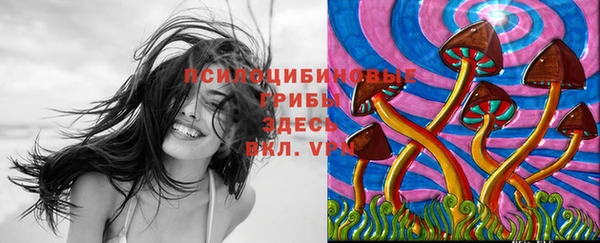 2c-b Баксан