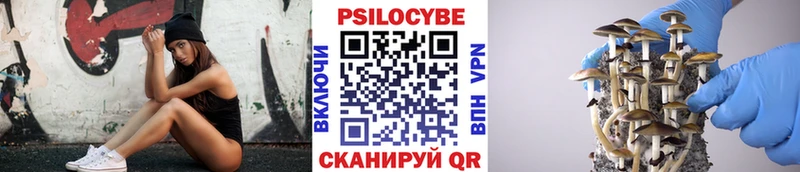 Галлюциногенные грибы ЛСД  даркнет сайт  Белореченск 